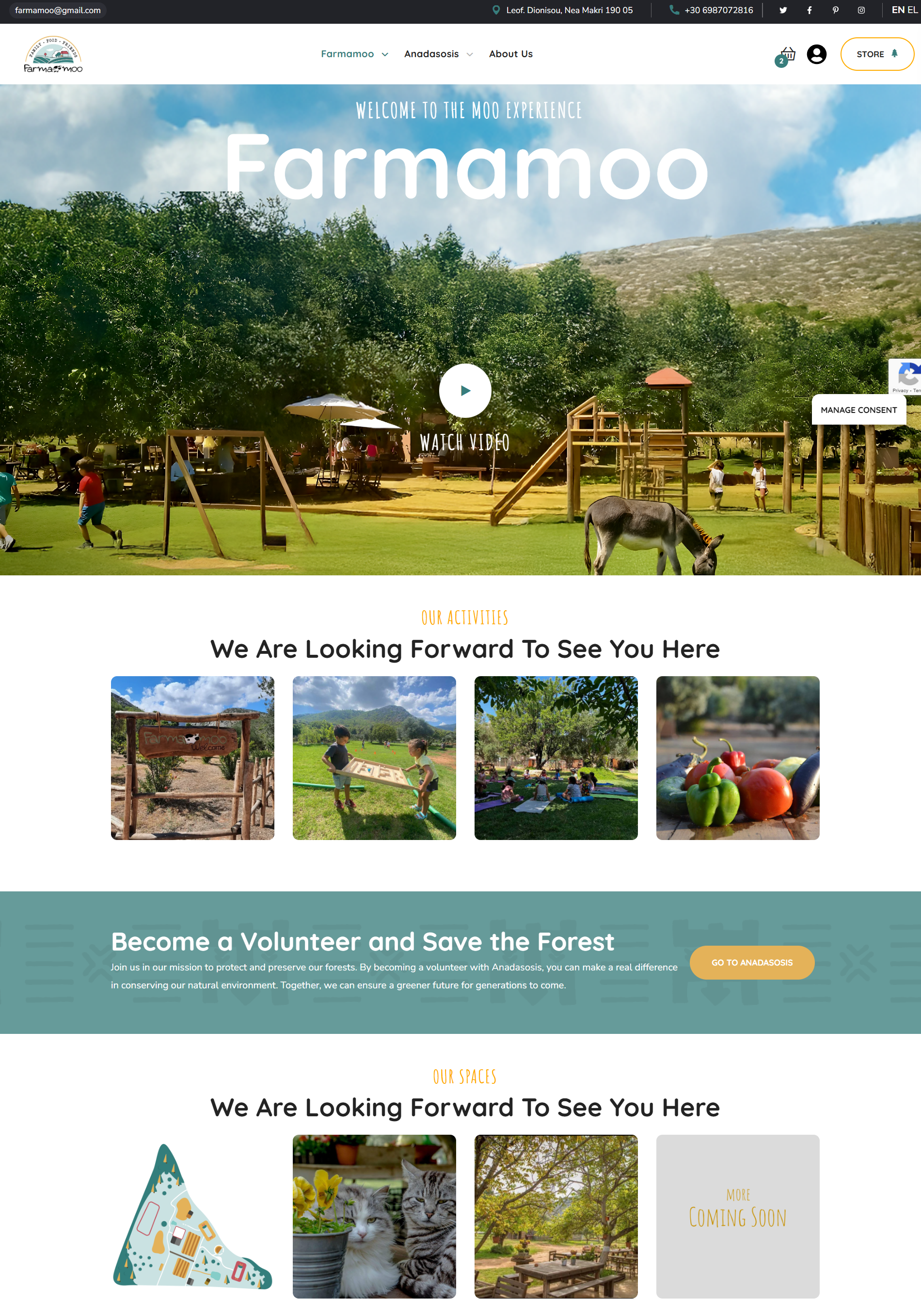 Dentist Website Image